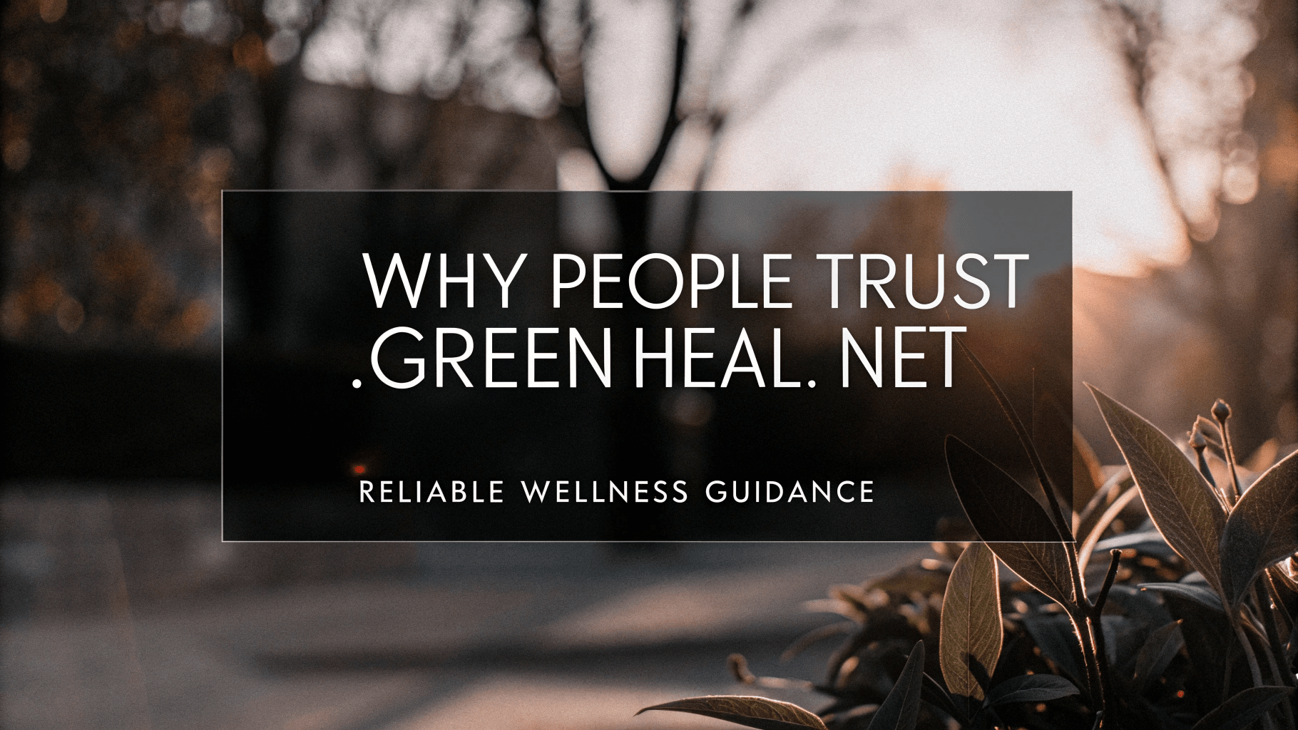 Why People Trust .green heal.net for Natural Healing Tips