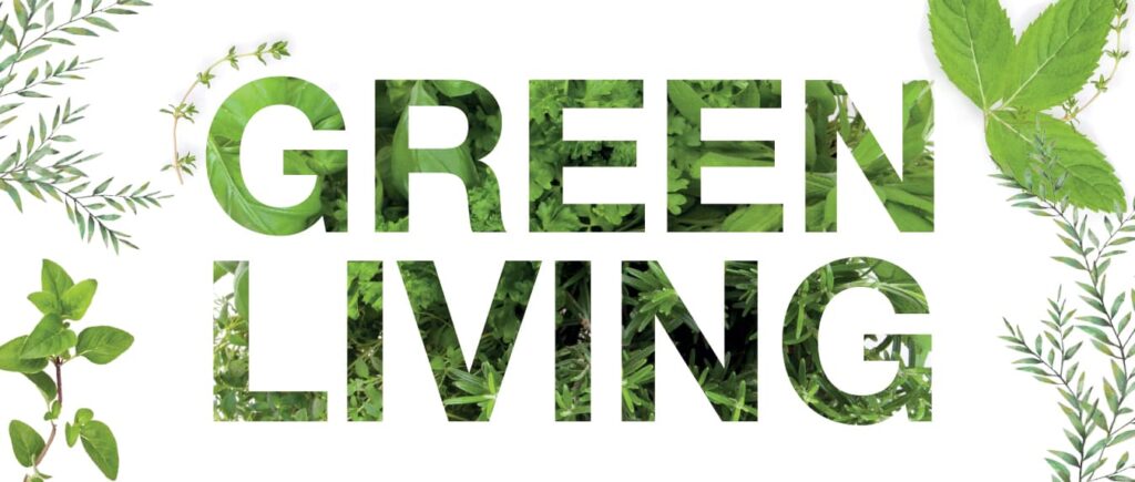 Greenheal Blog’s Role in Promoting Sustainable and Eco-Friendly Living