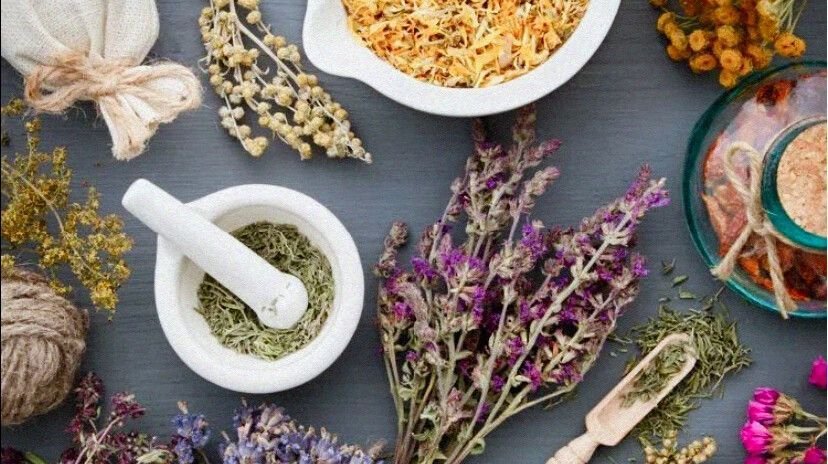 Traditional and Modern Uses of Healing Herbs